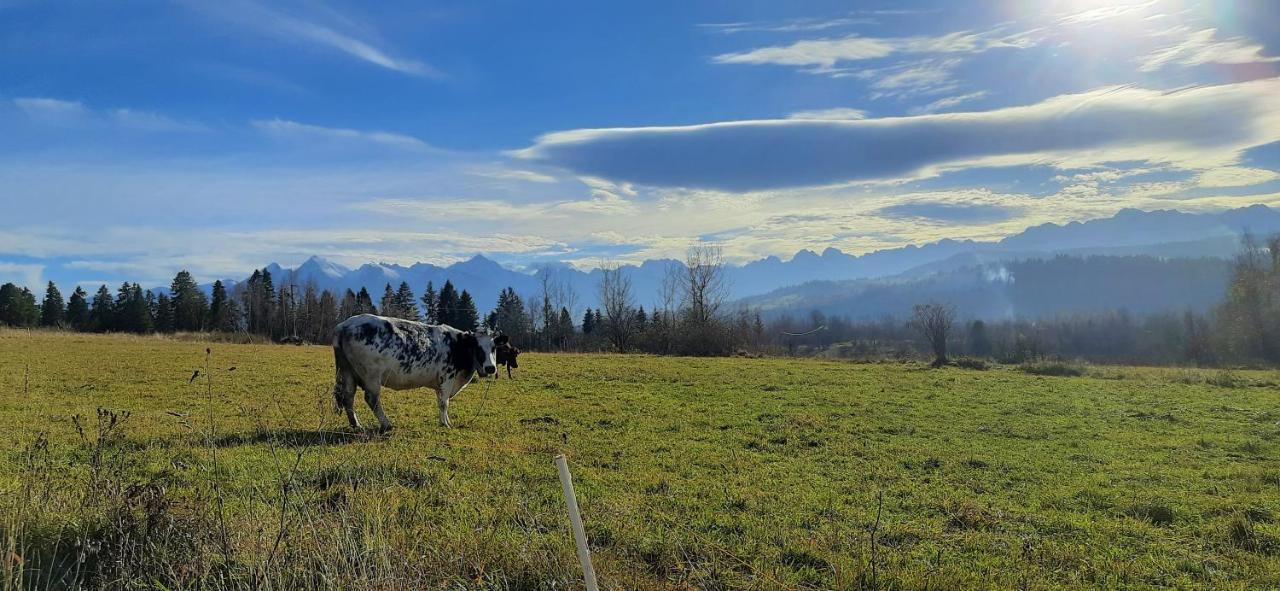 Chalpy Na Wierchu Rzepiska Dış mekan fotoğraf